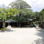 認定こども園まこと幼児園