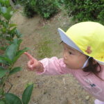 ひいらぎこども園