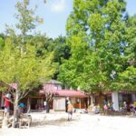 やまもも保育園